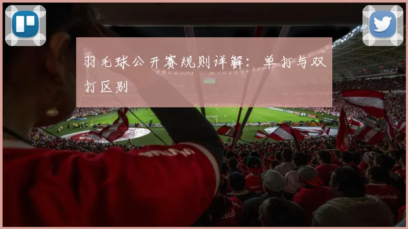 羽毛球公开赛规则详解：单打与双打区别