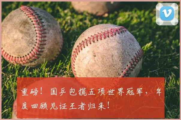 重磅!国乒包揽五项世界冠军,年度回顾见证王者归来!