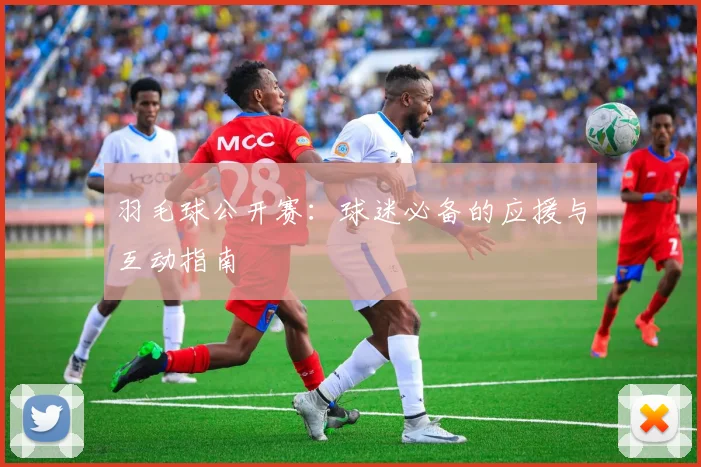 羽毛球公开赛：球迷必备的应援与互动指南