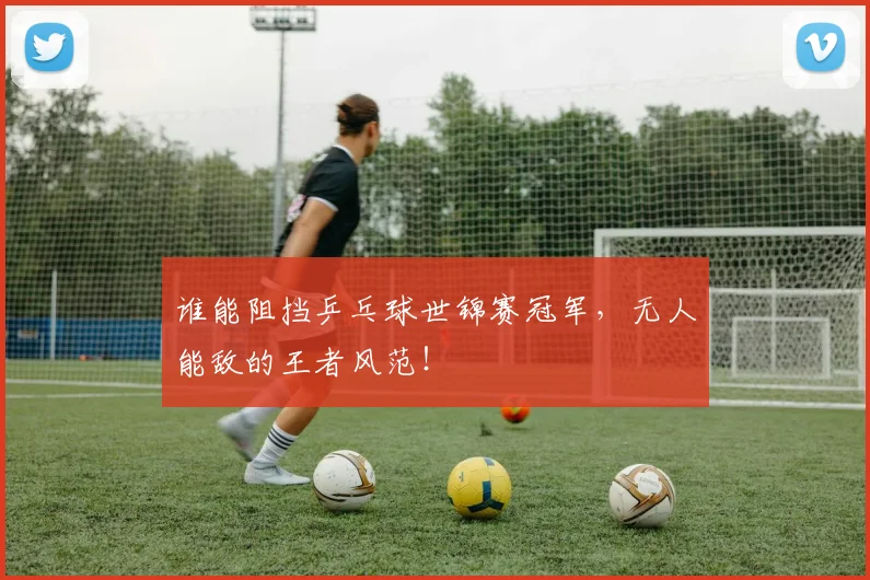 谁能阻挡乒乓球世锦赛冠军,无人能敌的王者风范!
