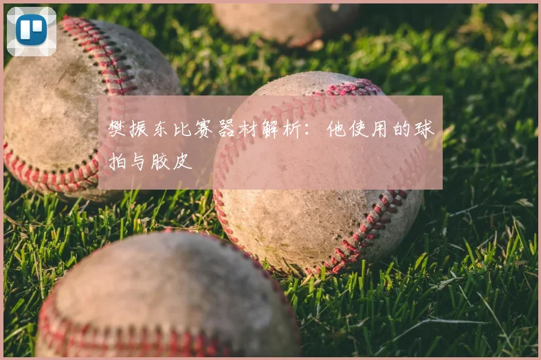 樊振东比赛器材解析:他使用的球拍与胶皮
