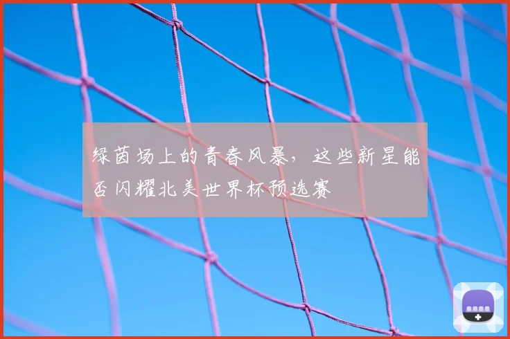 绿茵场上的青春风暴，这些新星能否闪耀北美世界杯预选赛