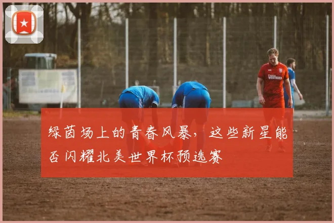 绿茵场上的青春风暴,这些新星能否闪耀北美世界杯预选赛