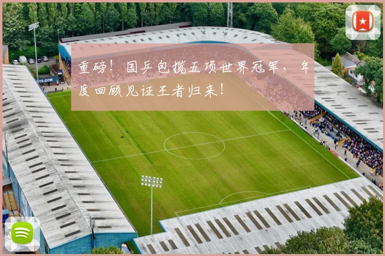 重磅!国乒包揽五项世界冠军,年度回顾见证王者归来!