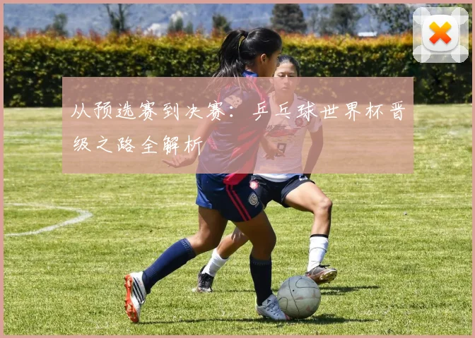 从预选赛到决赛：乒乓球世界杯晋级之路全解析