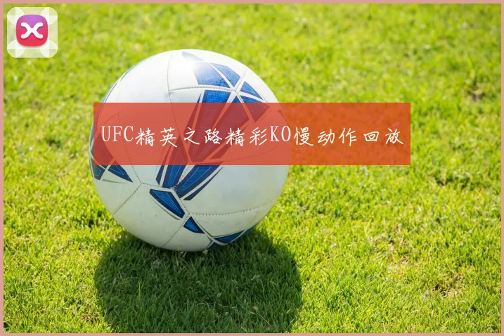 UFC精英之路精彩KO慢动作回放