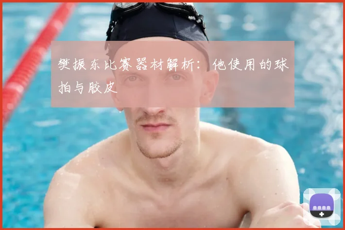 樊振东比赛器材解析:他使用的球拍与胶皮
